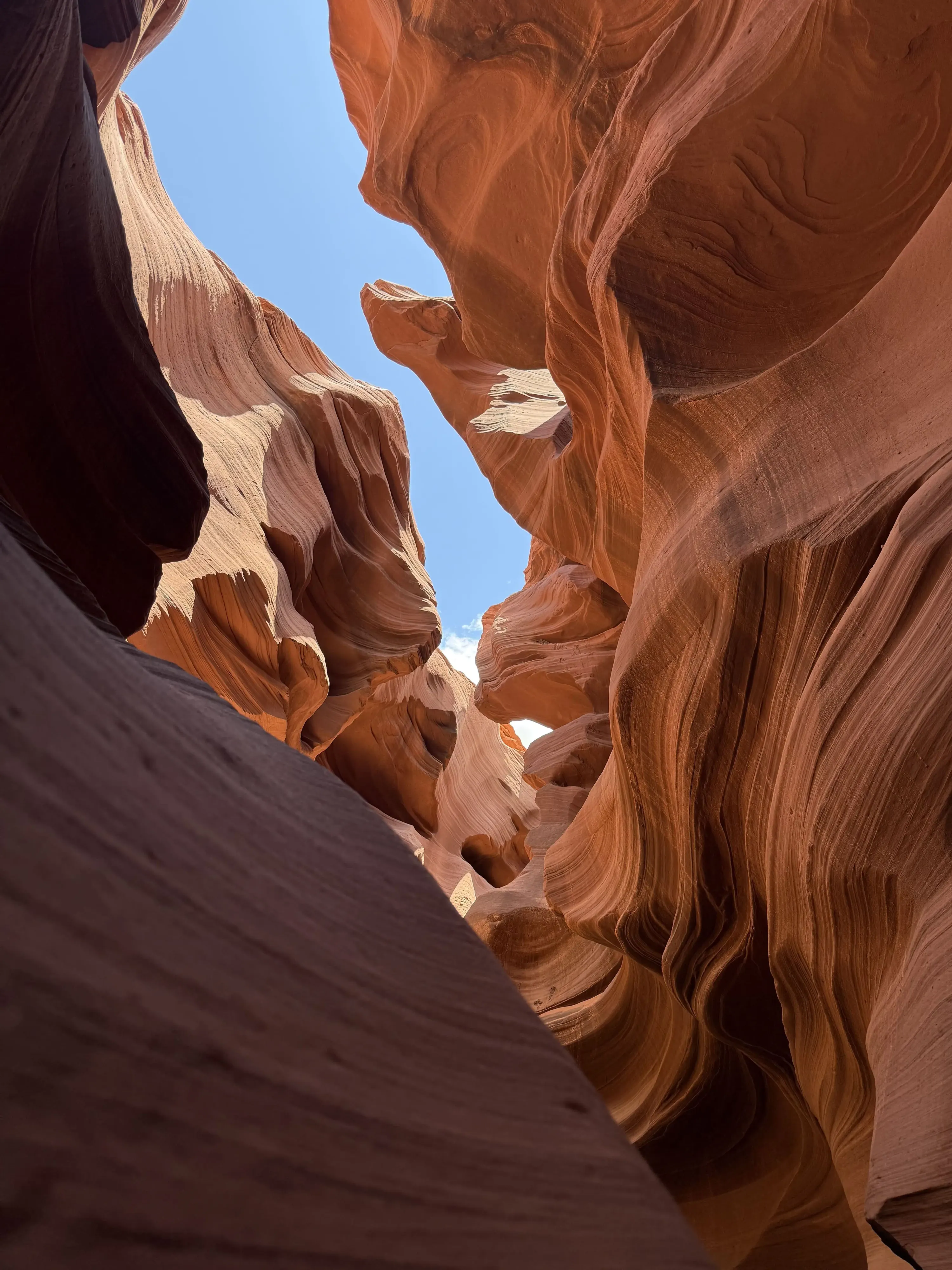 Looking up through Lower Antelope Canyon